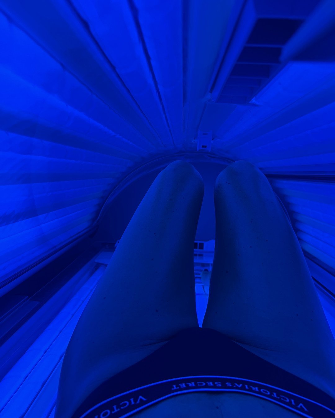 The view from inside the sunbed